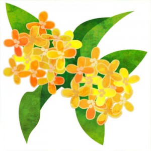 osmanthus-400x400