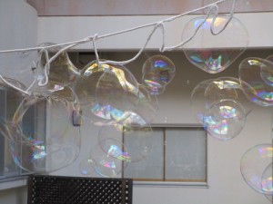 IMG_2634