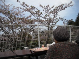 花見の様子②