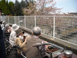 花見の様子③