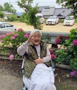 紫陽花６