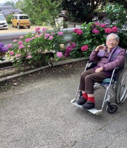 紫陽花１