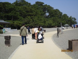 IMG_8446